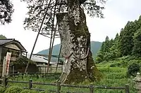 北側から南側を撮影。