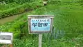 学習用の畑