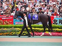 9　スマートオーディン