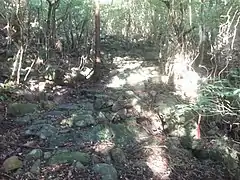 白山比賣神社参道