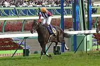 2010年皐月賞(ヴィクトワールピサ)