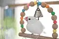 文鳥学芸員のぶんちゃん(白文鳥)