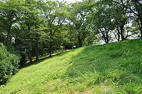 谷津山古墳(前方部から後円部を望む)
