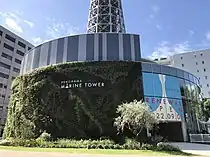 同じく低層部の壁面緑化部分（2022年9月）