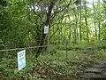 木々に取り付けられた解説表示