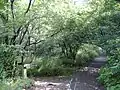 園内の観察路