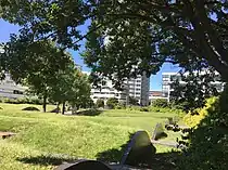 公園入口付近の「うねる芝生」（2020年9月）