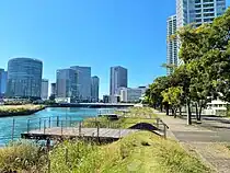 帷子川の葦原の上に突き出る形で設置された木製デッキ群（2020年10月）
