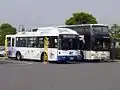 3-4002号車100円バスとの並び横浜赤レンガ倉庫前にて