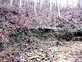 大峰寺の跡