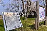 横田切れ公園（燕市、2020年4月）