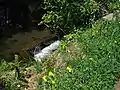 池の放水口