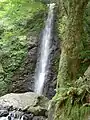 46. 養老の滝