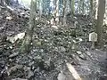 三の丸の石垣跡