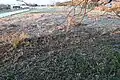 前方部から後方部を望む