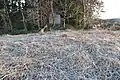 後方部から前方部を望む