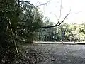 主郭
