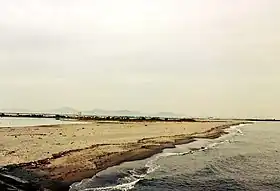 吉野川河口干潟