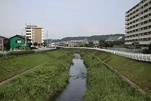 2011年8月1日撮影