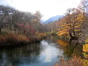 湯川(2005年10月)