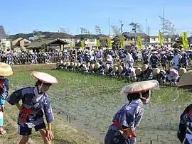 悠紀斎田お田植えまつり
