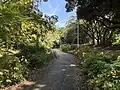 緑道