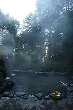 森林露天風呂(湯村温泉)