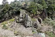 遊仙境