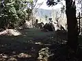 頂上