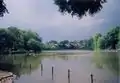 善福寺公園