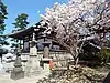 御影堂奥殿と涅槃桜