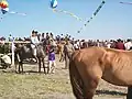 競馬の出発前