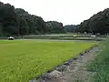 新池付近から大池方面を望む