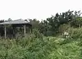 頂上