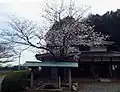 古木４