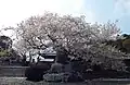 実報寺(35番)乳地蔵