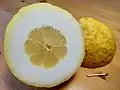 シトロンの断面