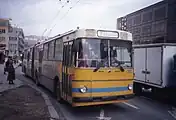 ズリーン（1992年撮影）