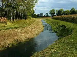 パルーの風景