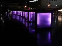 園内のライトアップ（薄紫色）