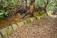 女山城跡