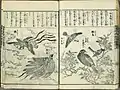 中村惕斎『訓蒙図彙』巻六　三七頁