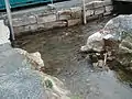 ワルダシャフの町(英語版)の町で、Kleinaschaff川とオーテン川(ドイツ語版)とが合流している場所。この地点より下流側がアシャッフ川と呼ばれている。