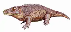 Zygosaurus luciusペルム紀中期のロシアに生息した陸生種。ディッソロフス上科に属する。