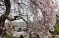 北側からの展望