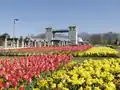 ぐんまフラワーパーク