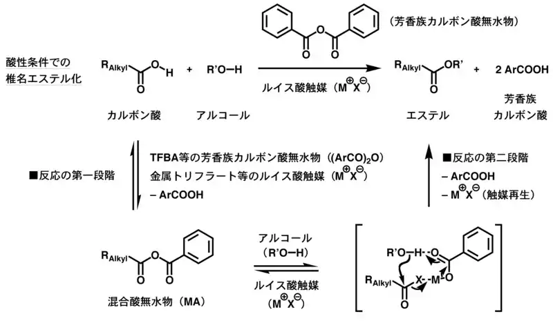 酸性条件での椎名エステル化