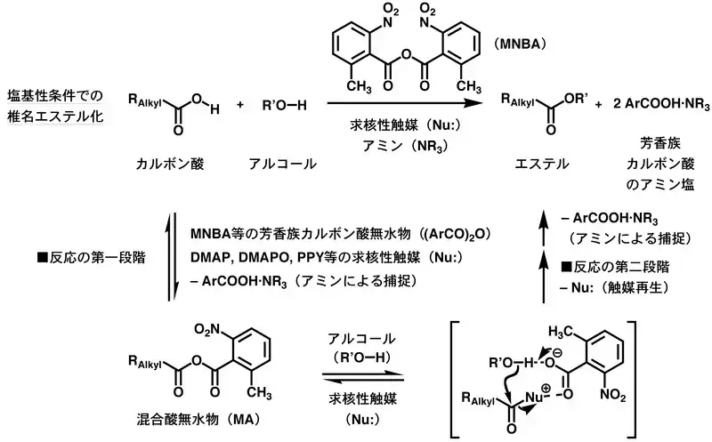 塩基性条件での椎名エステル化