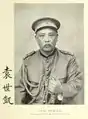大元帥独自の軍装。襟全体に金色の襟章がなされ、また肩章がロシア式となっている。袁世凱