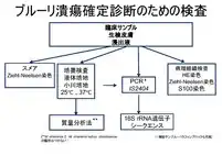 石井則久　編集